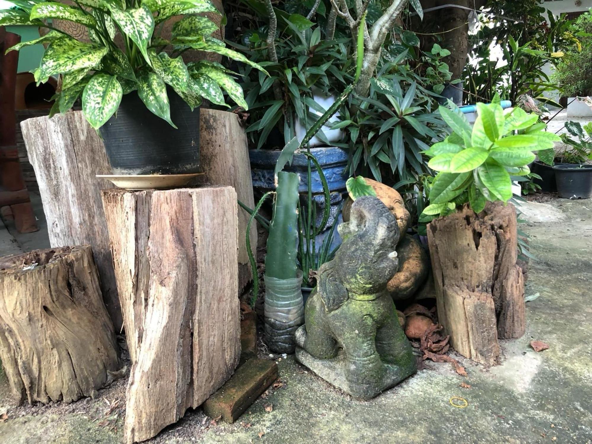 Lungsonhouse Pai Villa Dış mekan fotoğraf